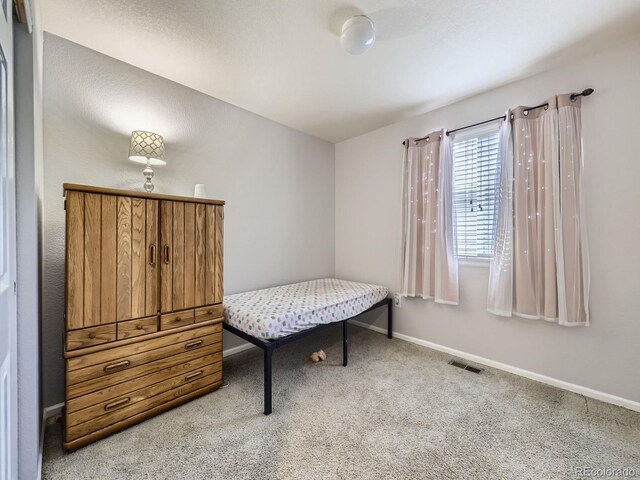 11811 Lewiston St, Commerce City, CO 80022 - photo 23