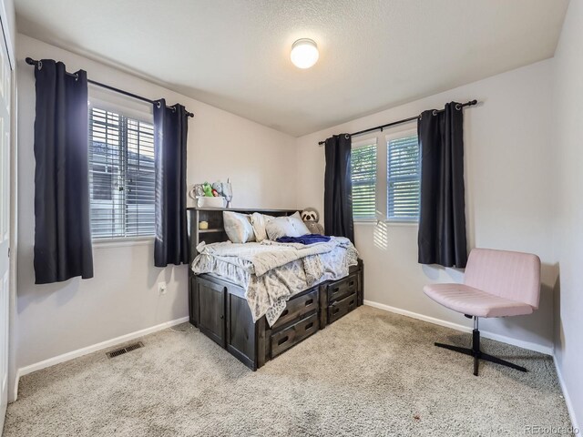 11811 Lewiston St, Commerce City, CO 80022 - photo 32