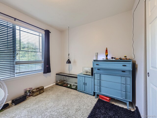 11811 Lewiston St, Commerce City, CO 80022 - photo 20