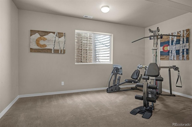 15616 Soo Line Way, Monument, CO 80132 - exercise room featuring baseboards and carpet flooring