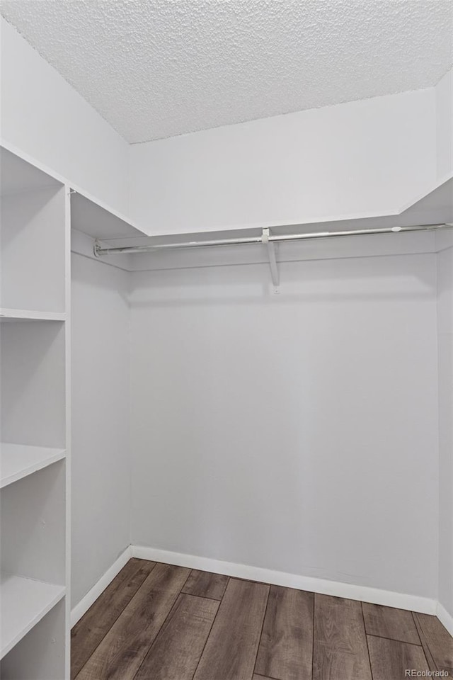 walk in closet featuring wood finished floors