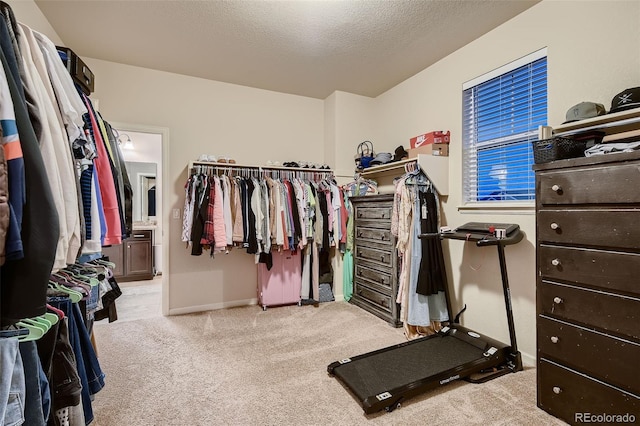 walk in closet featuring light colored carpet