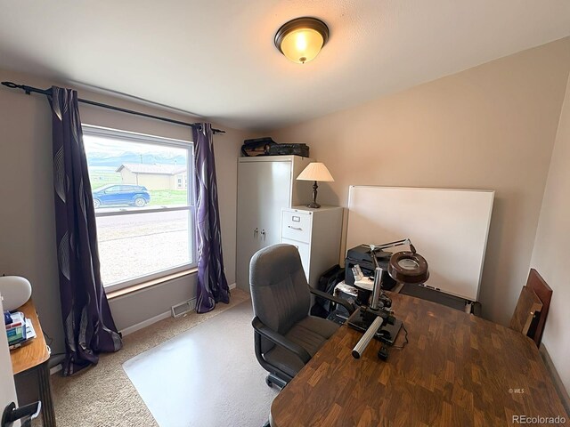 29 Granada Ct, Silver Cliff, CO 81252 - office area featuring baseboards