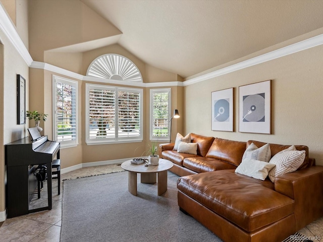 10954 W 100th Way, Broomfield, CO 80021 - living room with vaulted ceiling and ornamental molding
