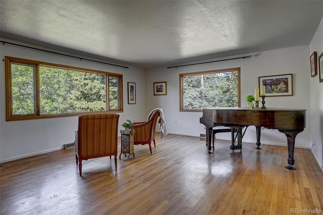 4665 Fox Rd, Cascade, CO 80809 - office area with plenty of natural light and light wood-type flooring