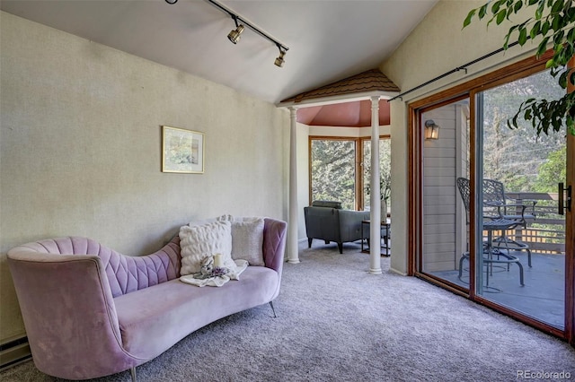 4665 Fox Rd, Cascade, CO 80809 - living area featuring track lighting, decorative columns, carpet flooring, vaulted ceiling, and a baseboard heating unit