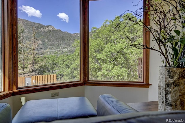 4665 Fox Rd, Cascade, CO 80809 - detailed view of mountains