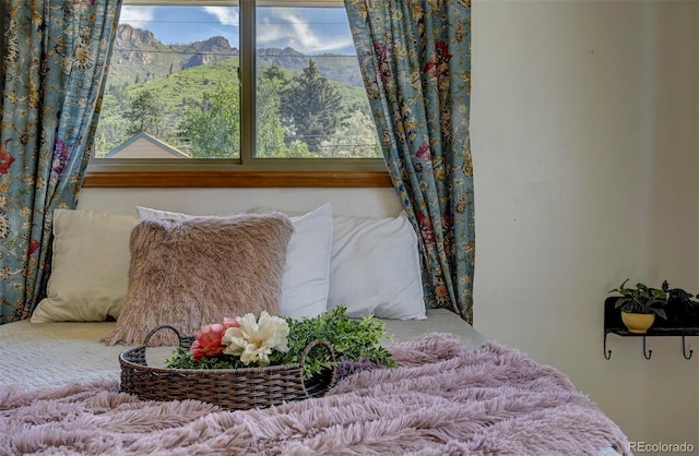 4665 Fox Rd, Cascade, CO 80809 - bedroom featuring carpet floors