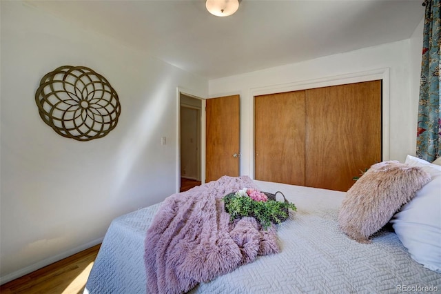4665 Fox Rd, Cascade, CO 80809 - bedroom with a closet and wood finished floors