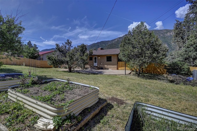 4665 Fox Rd, Cascade, CO 80809 - view of yard featuring a vegetable garden, a patio, and a mountain view