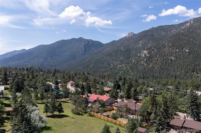 4665 Fox Rd, Cascade, CO 80809 - view of mountain backdrop with a heavily wooded area