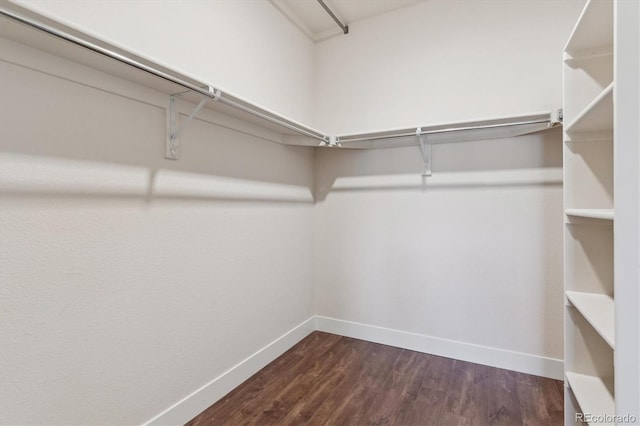 walk in closet featuring dark wood-type flooring