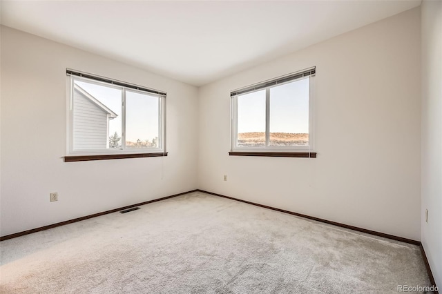 spare room featuring light carpet