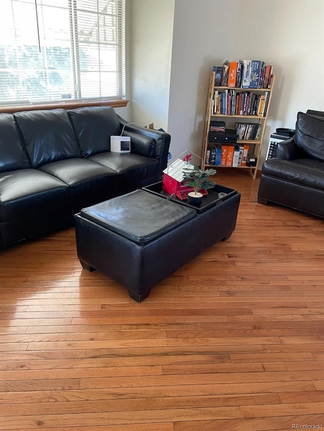 living room with light wood-type flooring