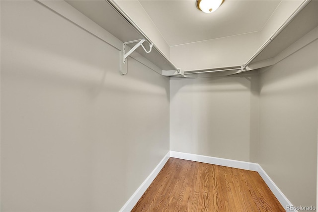 300 W 11th Ave Unit 8C, Denver, CO 80204 - walk in closet with wood finished floors