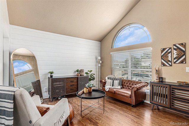 living room with high vaulted ceiling and hardwood / wood-style flooring