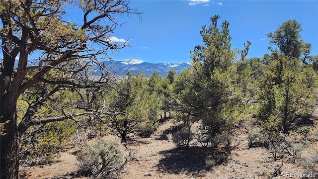 LOT54 Lillehammer Dr, San Luis, CO 81152 - photo 3