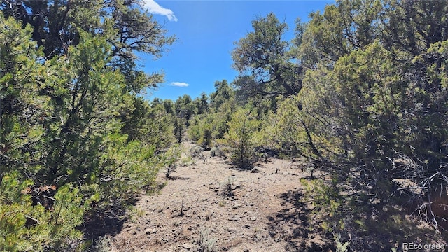 LOT54 Lillehammer Dr, San Luis, CO 81152 - photo 6