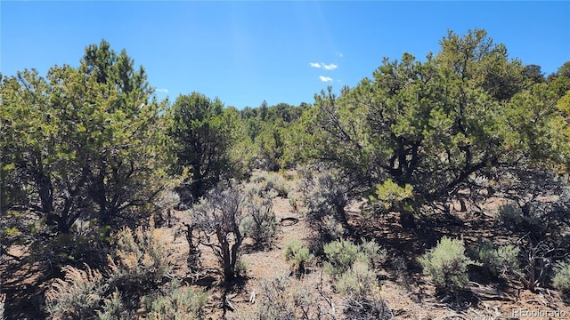 LOT54 Lillehammer Dr, San Luis, CO 81152 - photo 9