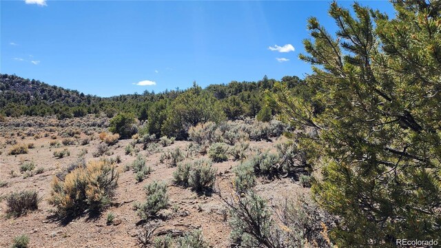 LOT54 Lillehammer Dr, San Luis, CO 81152 - photo 10