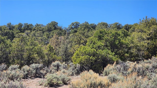 LOT54 Lillehammer Dr, San Luis, CO 81152 - photo 11