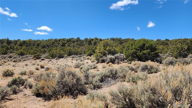 LOT54 Lillehammer Dr, San Luis, CO 81152 - photo 12