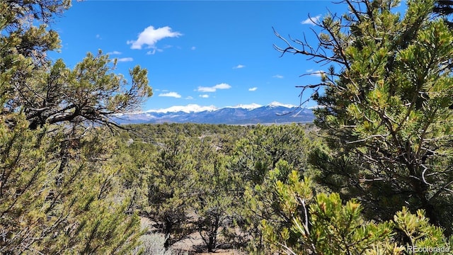 LOT54 Lillehammer Dr, San Luis, CO 81152 - photo 13