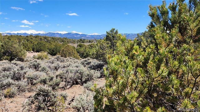 LOT54 Lillehammer Dr, San Luis, CO 81152 - photo 15
