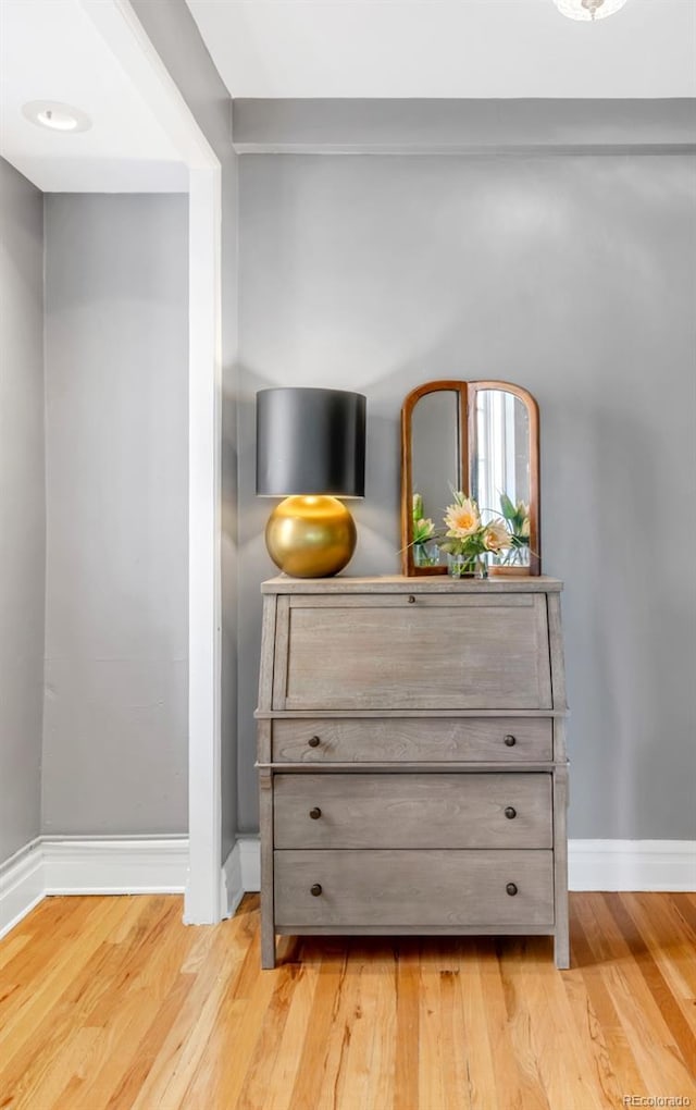 99 S Downing St Unit 105, Denver, CO 80209 - detailed view of wood finished floors and baseboards