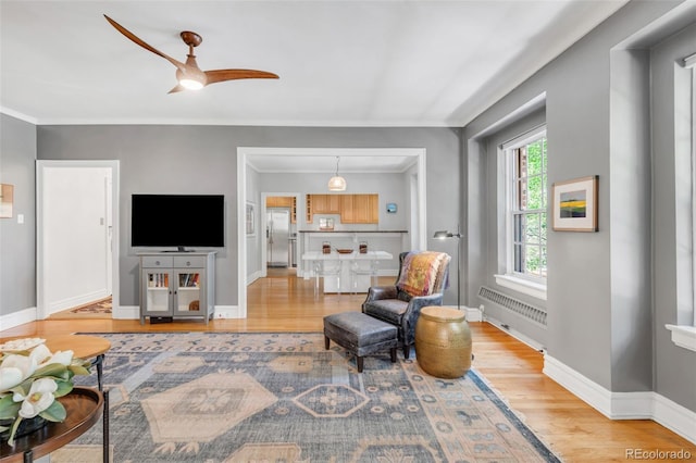 99 S Downing St Unit 105, Denver, CO 80209 - living area featuring radiator, wood finished floors, a ceiling fan, and ornamental molding