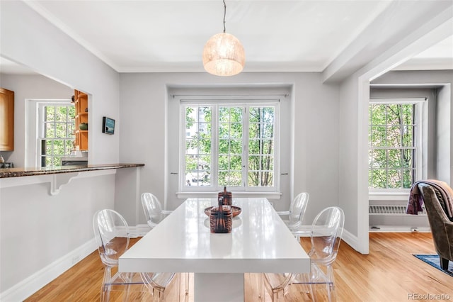 99 S Downing St Unit 105, Denver, CO 80209 - dining area with light wood-type flooring and ornamental molding