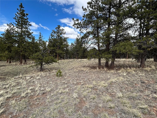 97 Chap Way, Hartsel, CO 80449