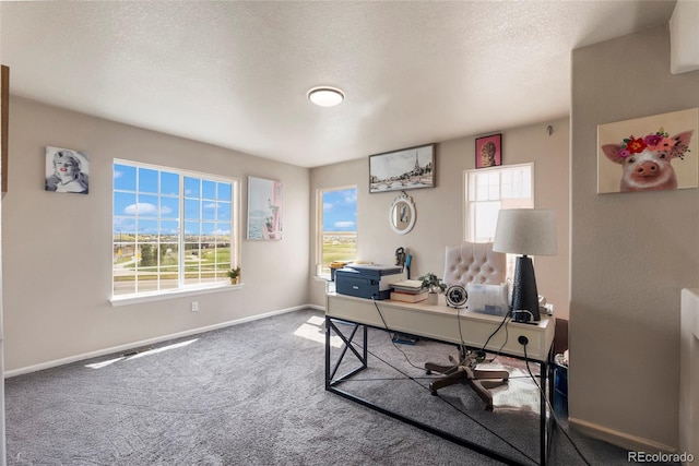 20414 E 55th Pl, Denver, CO 80249 - office area with healthy amount of natural light, carpet flooring, baseboards, and a textured ceiling