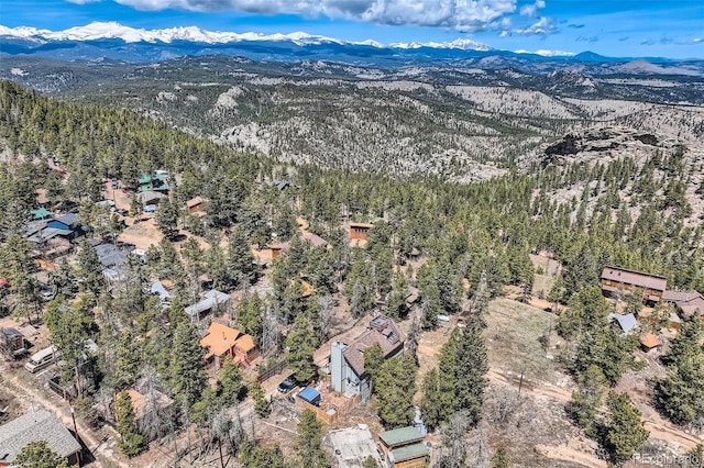aerial view of a mountain backdrop and a forest