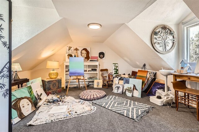 33 L Rd, Golden, CO 80403 - photo 18