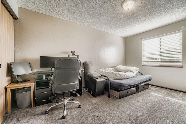 8692 Wildrye Cir, Parker, CO 80134 - photo 21
