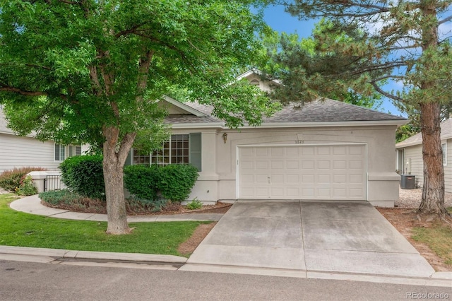 3845 Miller St, Wheat Ridge, CO 80033 - photo 22