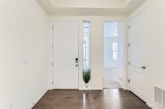 entrance foyer featuring dark hardwood / wood-style floors