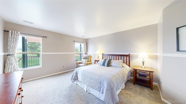 7270 Marmot Ridge Pl, Littleton, CO 80125 - bedroom featuring carpet flooring