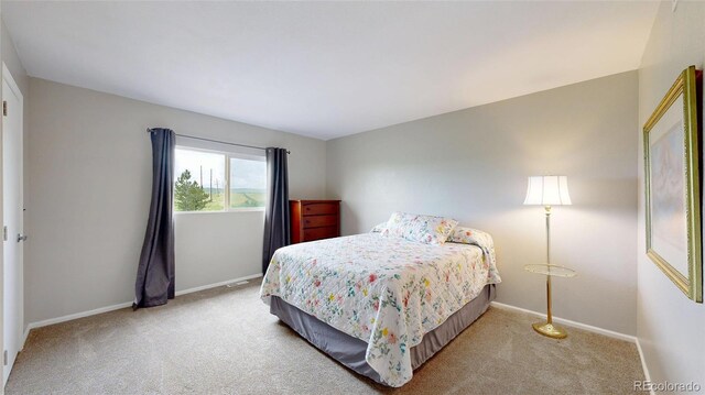 7270 Marmot Ridge Pl, Littleton, CO 80125 - carpeted bedroom featuring baseboards