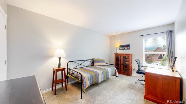 7270 Marmot Ridge Pl, Littleton, CO 80125 - bedroom featuring light colored carpet and a desk