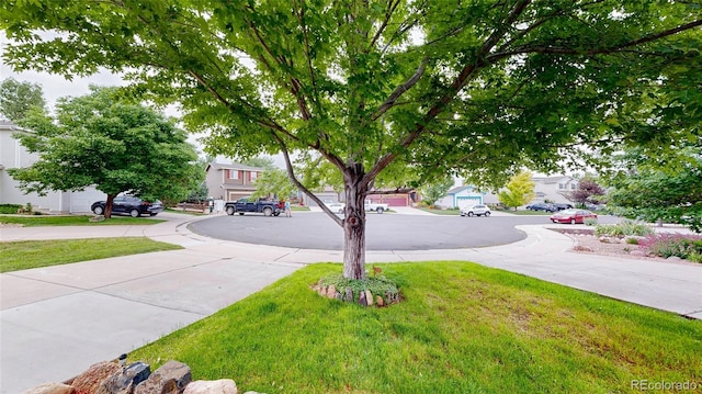 7270 Marmot Ridge Pl, Littleton, CO 80125 - view of grassy yard with a residential view