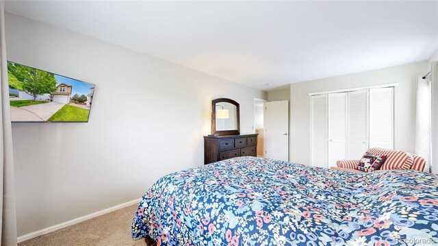 7270 Marmot Ridge Pl, Littleton, CO 80125 - bedroom featuring carpet and a closet