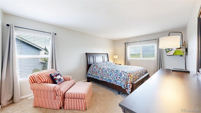 7270 Marmot Ridge Pl, Littleton, CO 80125 - bedroom with carpet floors