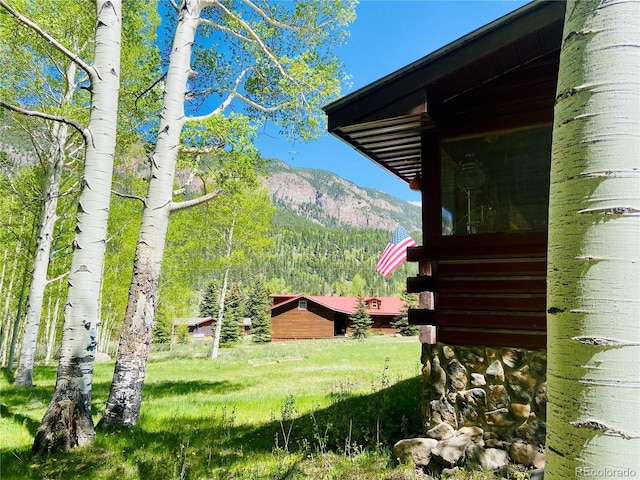 210 S Riverview Dr, Antonito, CO 81120 - photo 23