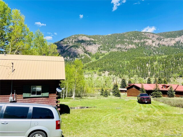 210 S Riverview Dr, Antonito, CO 81120 - photo 24