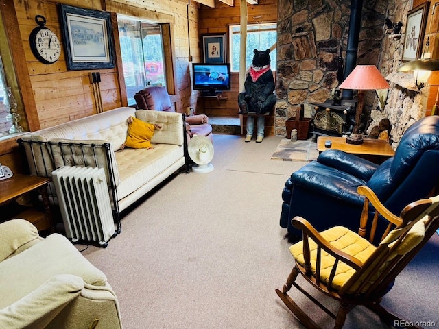 210 S Riverview Dr, Antonito, CO 81120 - photo 7