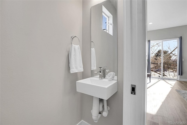 bathroom featuring wood-type flooring