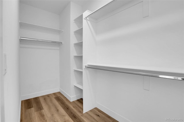 spacious closet with light hardwood / wood-style floors