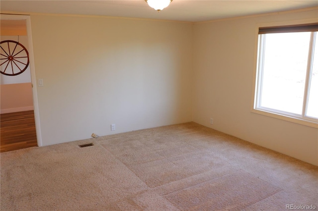 215 7th Ave, Deer Trail, CO 80105 - empty room with carpet floors and ornamental molding